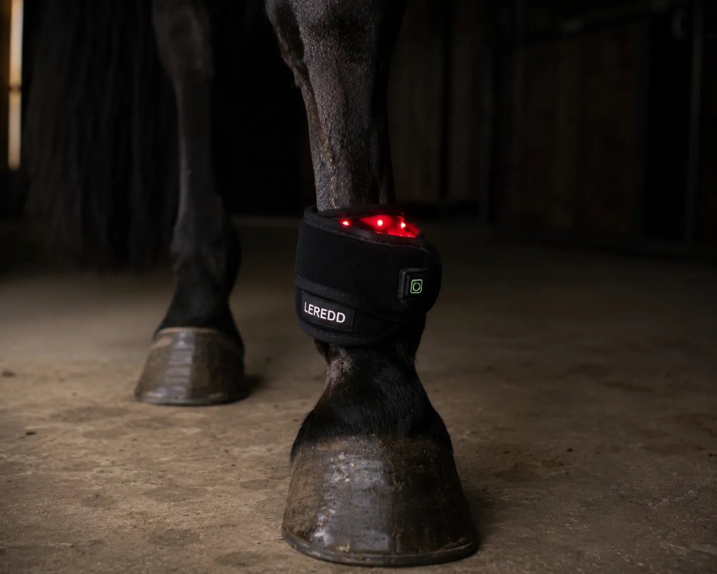 Lower Legs / Tendon Area